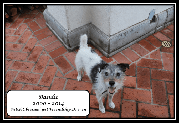 Bandit