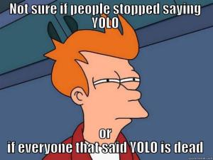 yolo